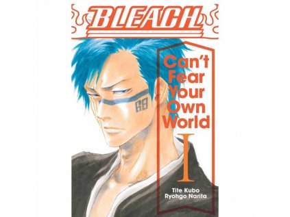 Bleach: Can’t Fear Your Own World 01