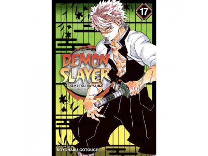 Demon Slayer: Kimetsu no Yaiba 17