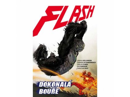 Flash 7: Dokonalá bouře (Znovuzrození hrdinů DC)