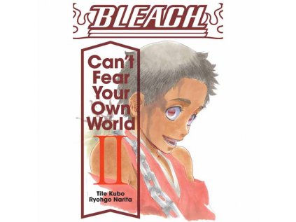 Bleach: Can’t Fear Your Own World 02