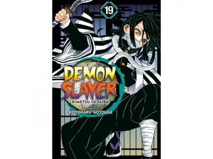 Demon Slayer: Kimetsu no Yaiba 19