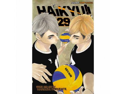 Haikyu!! 29