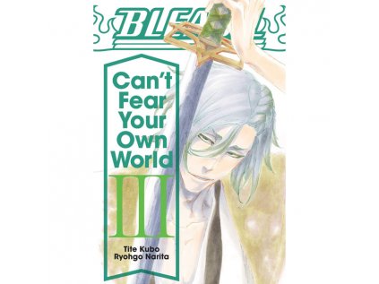 bleach can t fear your own world 03 light novel 9781974713288
