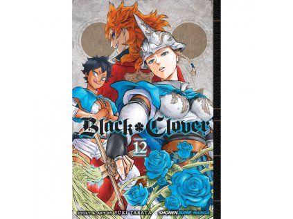 Black Clover 12