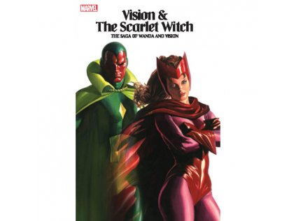 vision and the scarlet witch the saga of wanda and vision 9781302928643