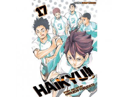 Haikyu!! 17