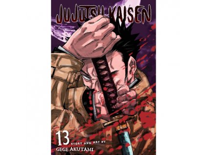 jujutsu kaisen 13 9781974723423