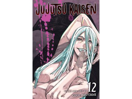 Jujutsu Kaisen 12
