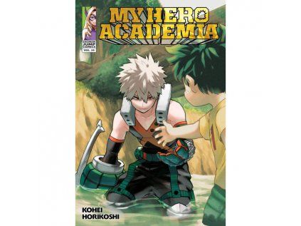 My Hero Academia 29