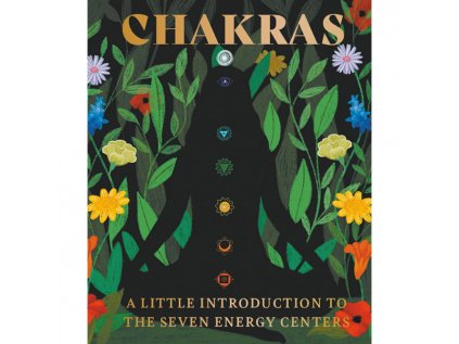 chakras a little introduction to the seven energy centers