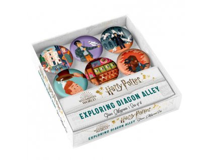 harry potter exploring diagon alley glass magnet set