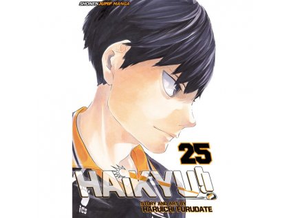 haikyu 25 9781421598079