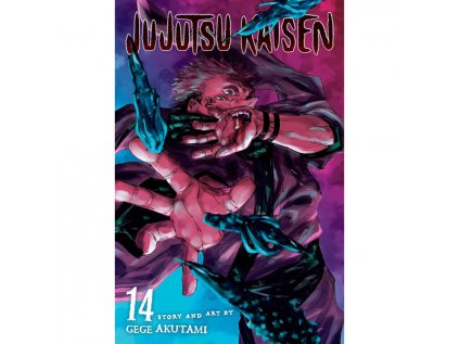 jujutsu kaisen 14 9781974725328