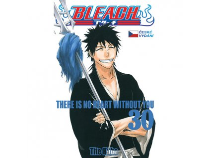 bleach 30 there is no heart with you 9788076791596