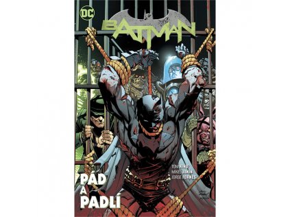 batman 11 pad a padli 9788076792142