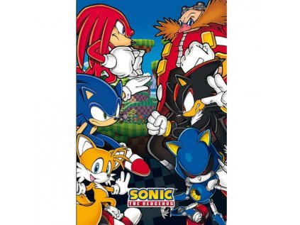 sonic group poster 3665361081364