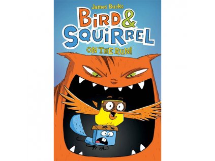 bird squirrel on the run a graphic novel 9780545312837