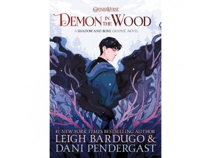 demon in the wood a shadow and bone graphic novel 9781510111141