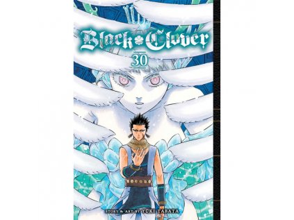 black clover 30 9781974732319