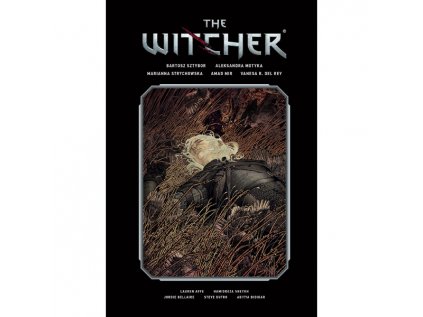 witcher library edition 2 9781506726915