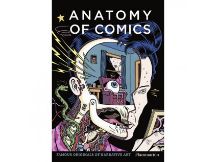 anatomy of comics famous originals of narrative art 9782080281876