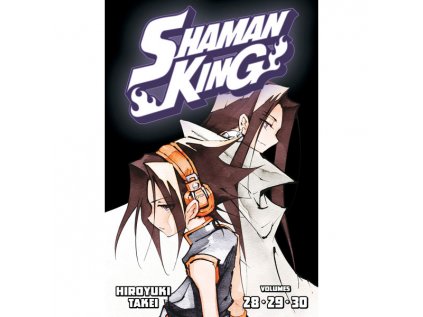 Shaman King Omnibus 10 (Vol. 28-30)