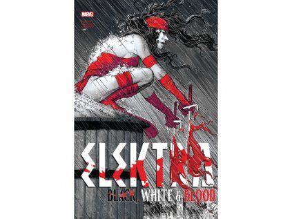Elektra: Black, White & Blood Treasury Edition