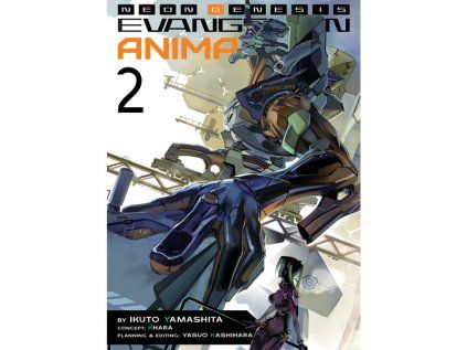 Neon Genesis Evangelion: Anima 2 Light Novel