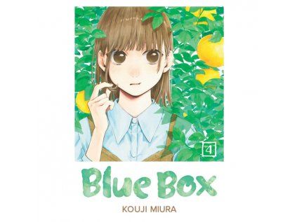 Blue Box 4