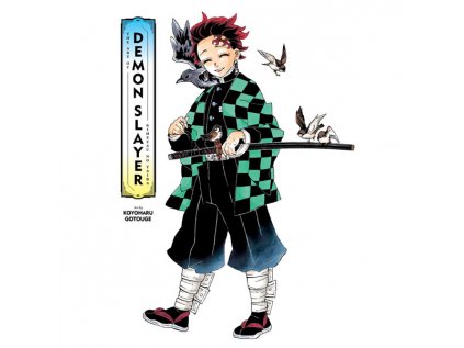 art of demon slayer kimetsu no yaiba 9781974734108