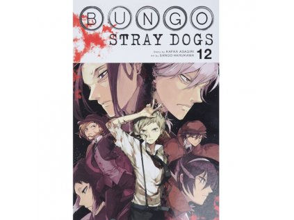 bungo stray dogs 12 9781975304522