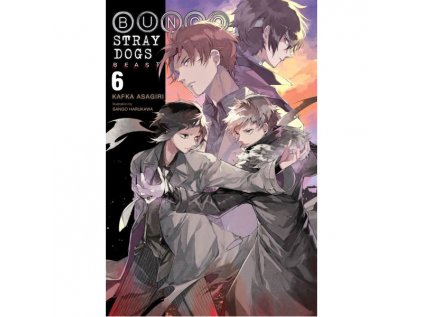 bungo stray dogs 6 light novel 9781975316594