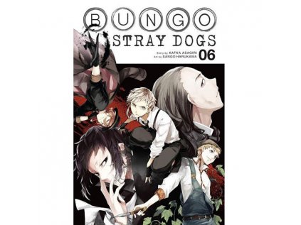 bungo stray dogs 6 9780316468183