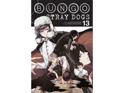 Bungo Stray Dogs 13