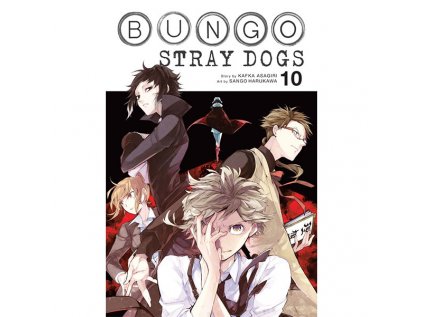 bungo stray dogs 10 9781975303716