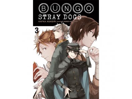 bungo stray dogs 3 the untold origins of the detective agency light novel 9781975303266