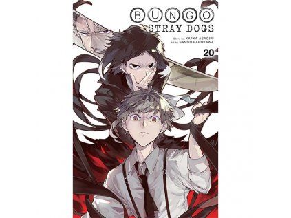 Bungo Stray Dogs 20