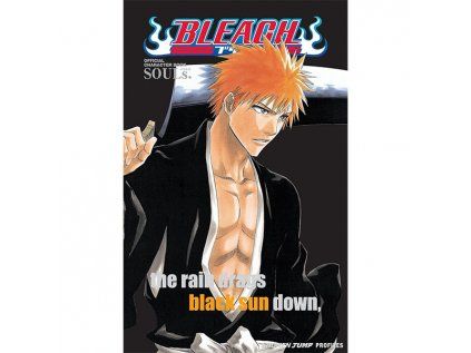 Bleach MASKED: Official Character Book 1