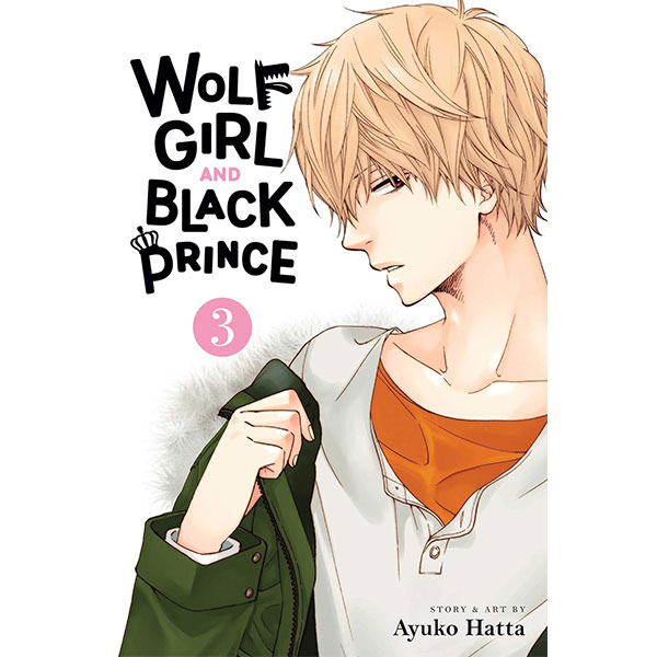 Viz Media Wolf Girl and Black Prince 3