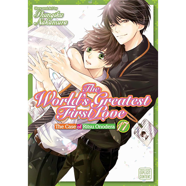 Viz Media World's Greatest First Love 17