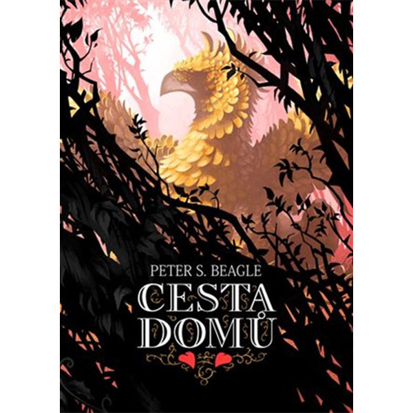 Argo Cesta domů