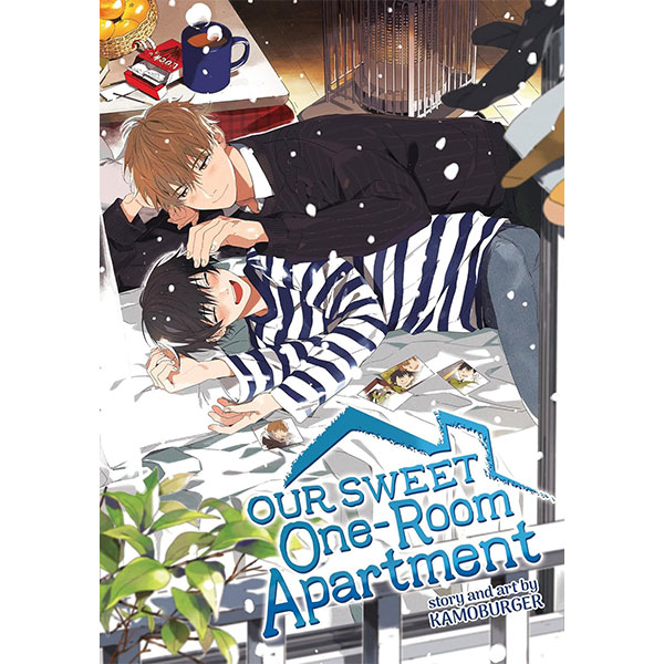 Our Sweet One-Room Apartment
