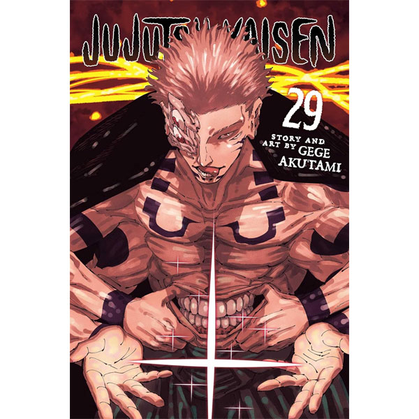 Viz Media Jujutsu Kaisen 29