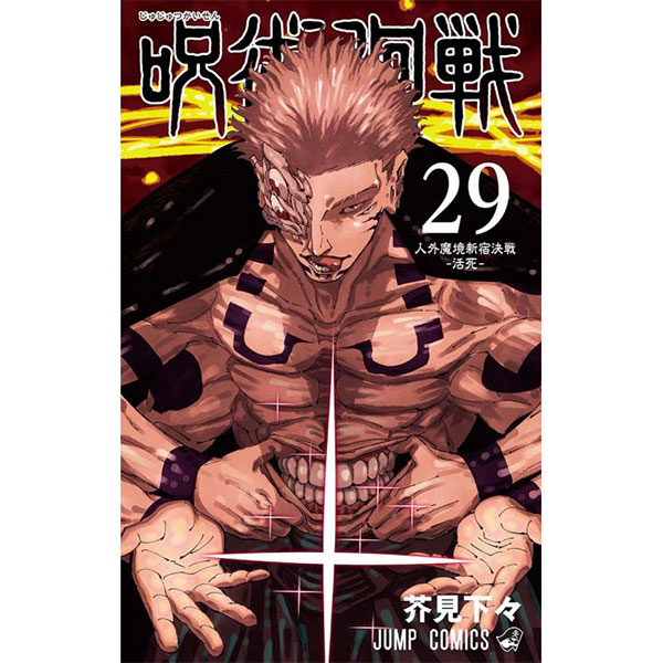 Viz Media Jujutsu Kaisen 29