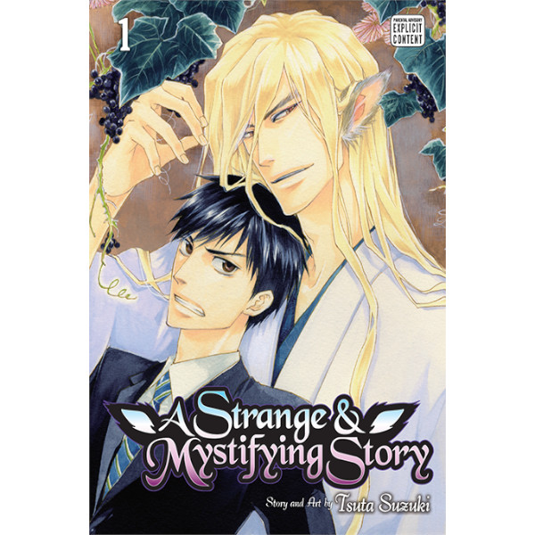 Viz Media A Strange and Mystifying Story 01