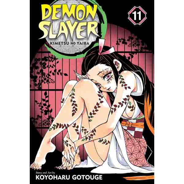 Viz Media Demon Slayer: Kimetsu no Yaiba 11