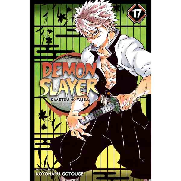 Viz Media Demon Slayer: Kimetsu no Yaiba 17