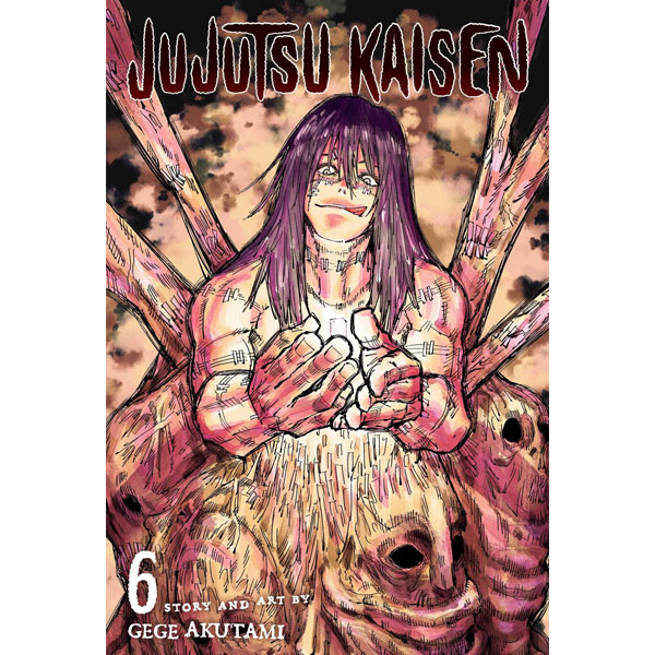 Viz Media Jujutsu Kaisen 6