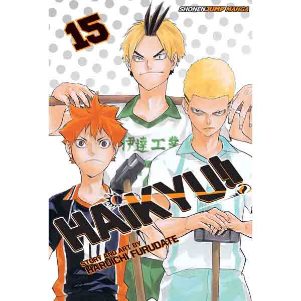 Viz Media Haikyu!! 15