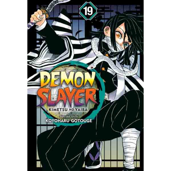 Viz Media Demon Slayer: Kimetsu no Yaiba 19